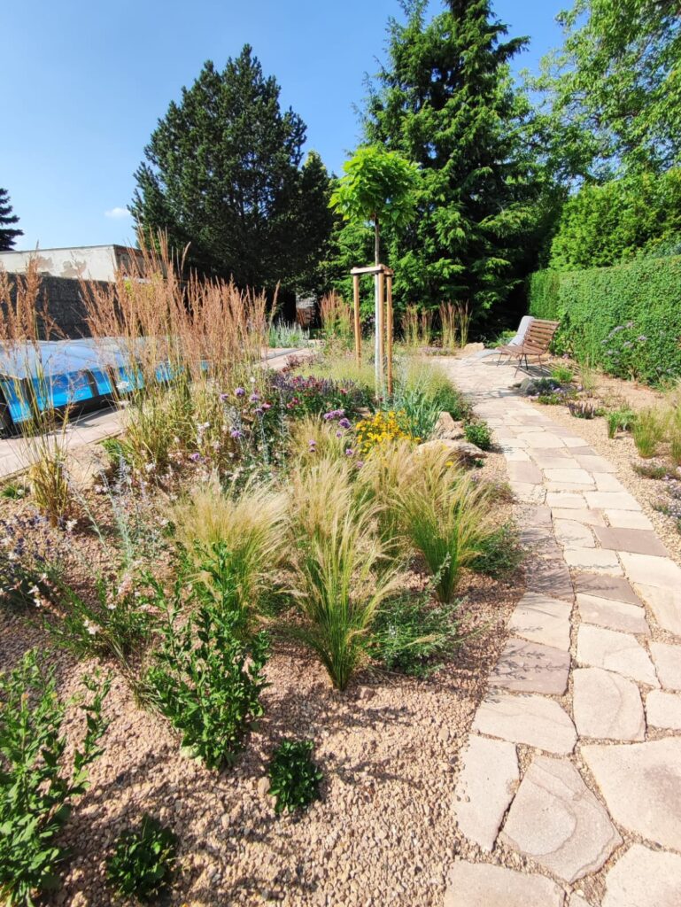 Realizace zahrady Probostov 16 3 mesice po vysadbe