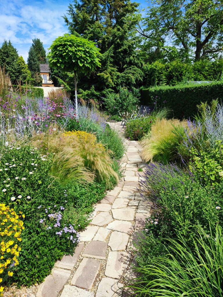 Realizace zahrady Probostov 18 2 roky po vysadbe