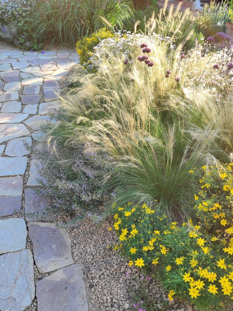 Realizace zahrady Probostov 29