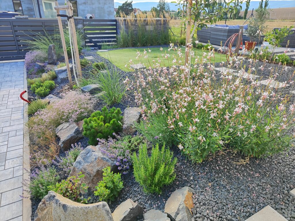 realizace zahrady suche9